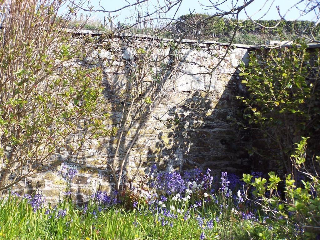 The Old Parsonage Bed and Breakfast Boscastle Exterior foto