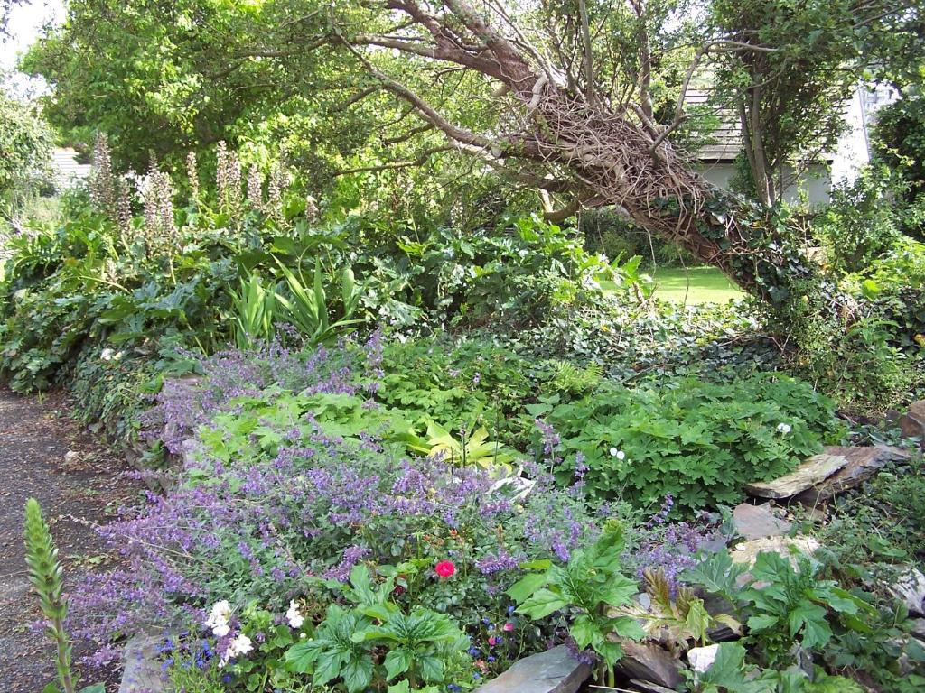 The Old Parsonage Bed and Breakfast Boscastle Exterior foto