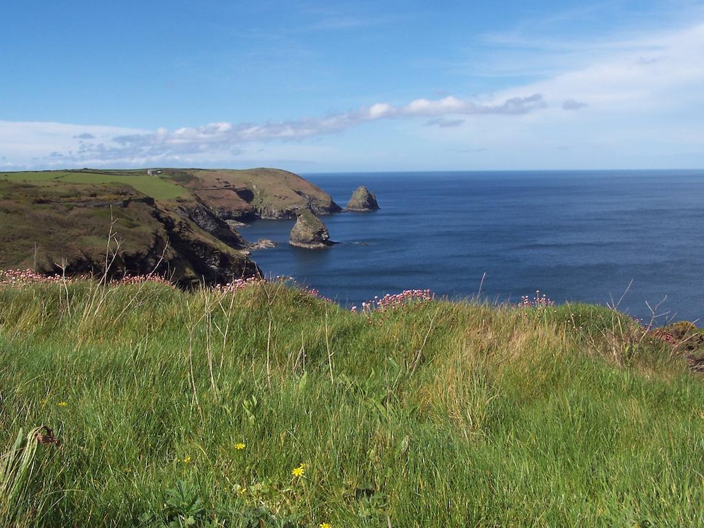 The Old Parsonage Bed and Breakfast Boscastle Exterior foto